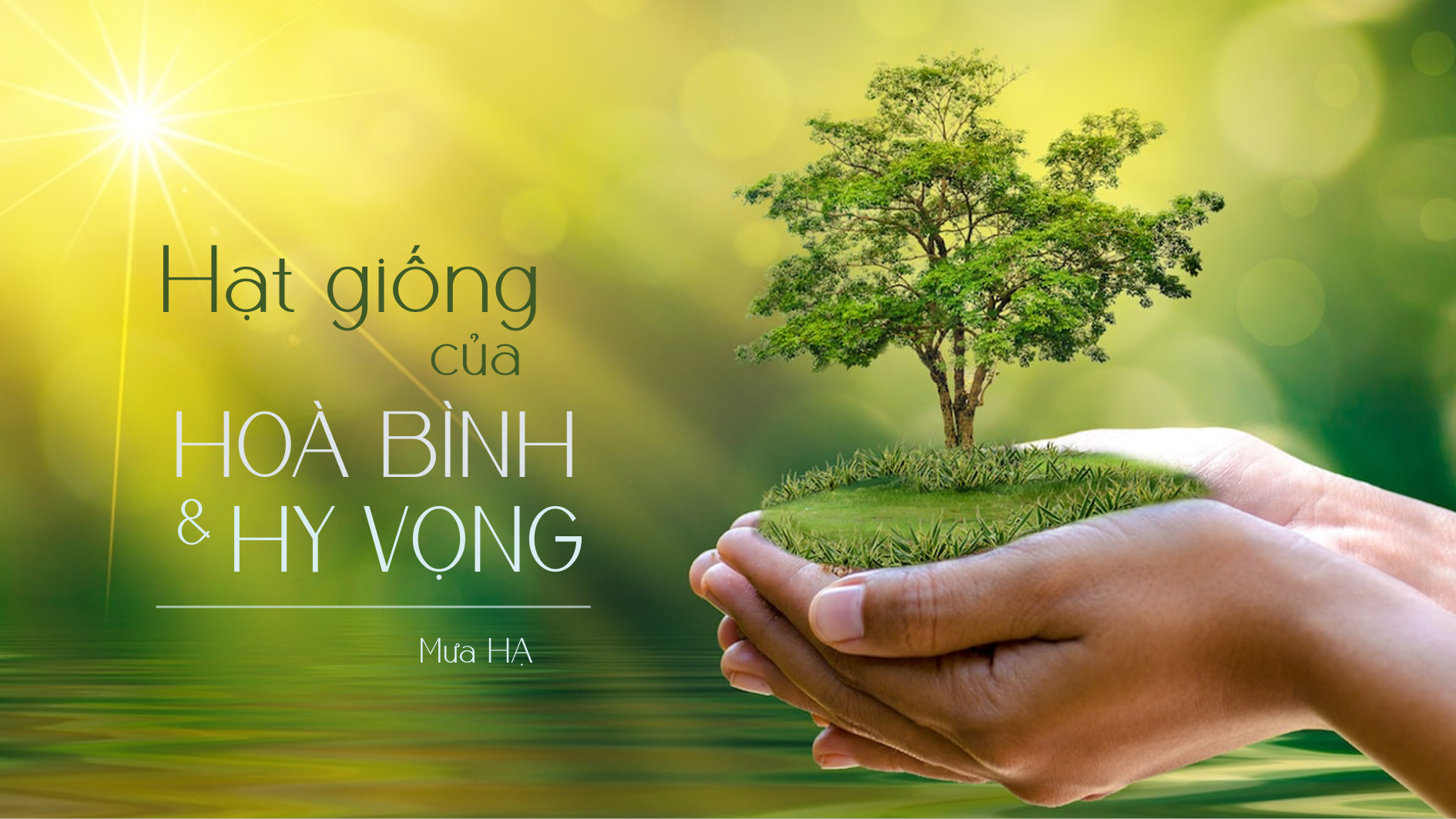 Hạt giống của Hòa bình và 
Hy vọng